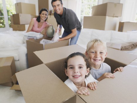 Sorted cardboard, plastics, and reusable packing materials ready for recycling