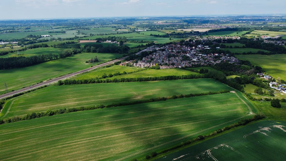 An aerial view of a rural landscape showing lush green fields separated by narrow hedgerows and winding dirt paths. In the middle distance, there is a cluster of residential houses with grey roofs and white walls, arranged in a compact layout. A straight road runs horizontally across the image, with some vehicles visible parked alongside. The fields appear to be used for agriculture, with some showing signs of recent planting or harvesting, evidenced by faint furrows. Trees line the edges of the fields and along the road, adding patches of darker green to the scenery. The sky above is mostly clear with some light cloud cover, casting soft shadows over the landscape. This image captures the tranquil environment typical for a home relocation area, where transporting household items from the property to a vehicle might take place, supported by local removals services such as Man with Van Harlington.